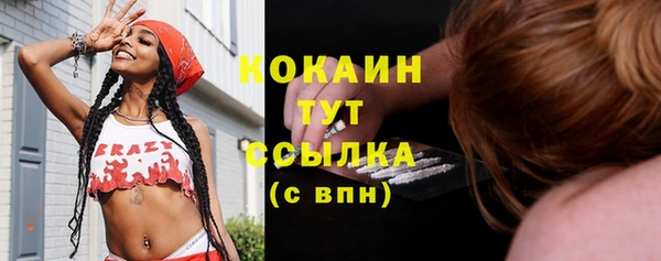 спайс Алексин