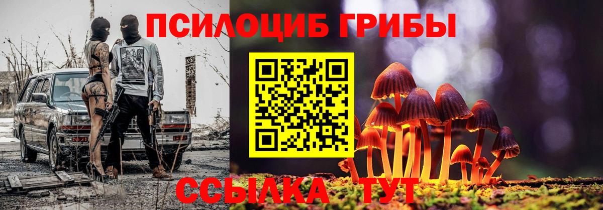 Псилоцибиновые грибы GOLDEN TEACHER Еманжелинск